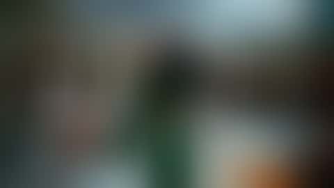 Nel cortile bagnato di un palazzo indiano, tra petali di calendula che cadono e suonatori di dhol in bianco, una donna in sari verde smeraldo e blusa corta gira con le braccia alzate e si volta sorridendo verso la camera