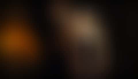 A woman in a black lace bodysuit seen from behind, her front reflected in a tall antique mirror in a lamp-lit bedroom