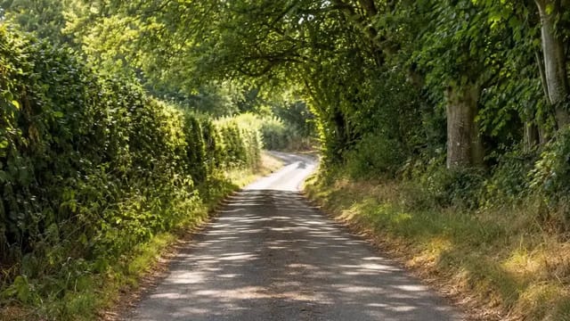 A locked shot of a narrow hedged country lane as the green summer leaves turn orange and fall, the light dropping lower and colder