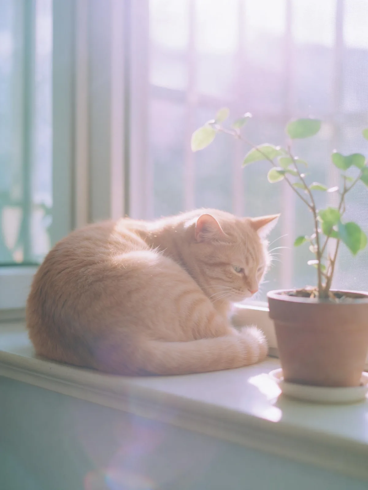 Sample image in the Drama Glow style