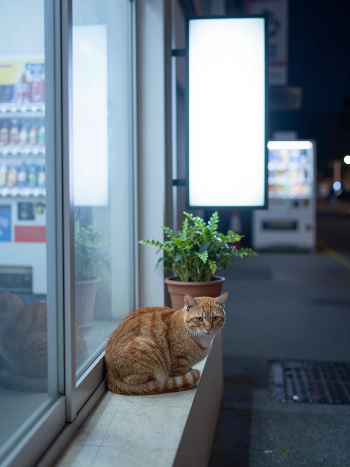 Sample image in the Konbini Night style