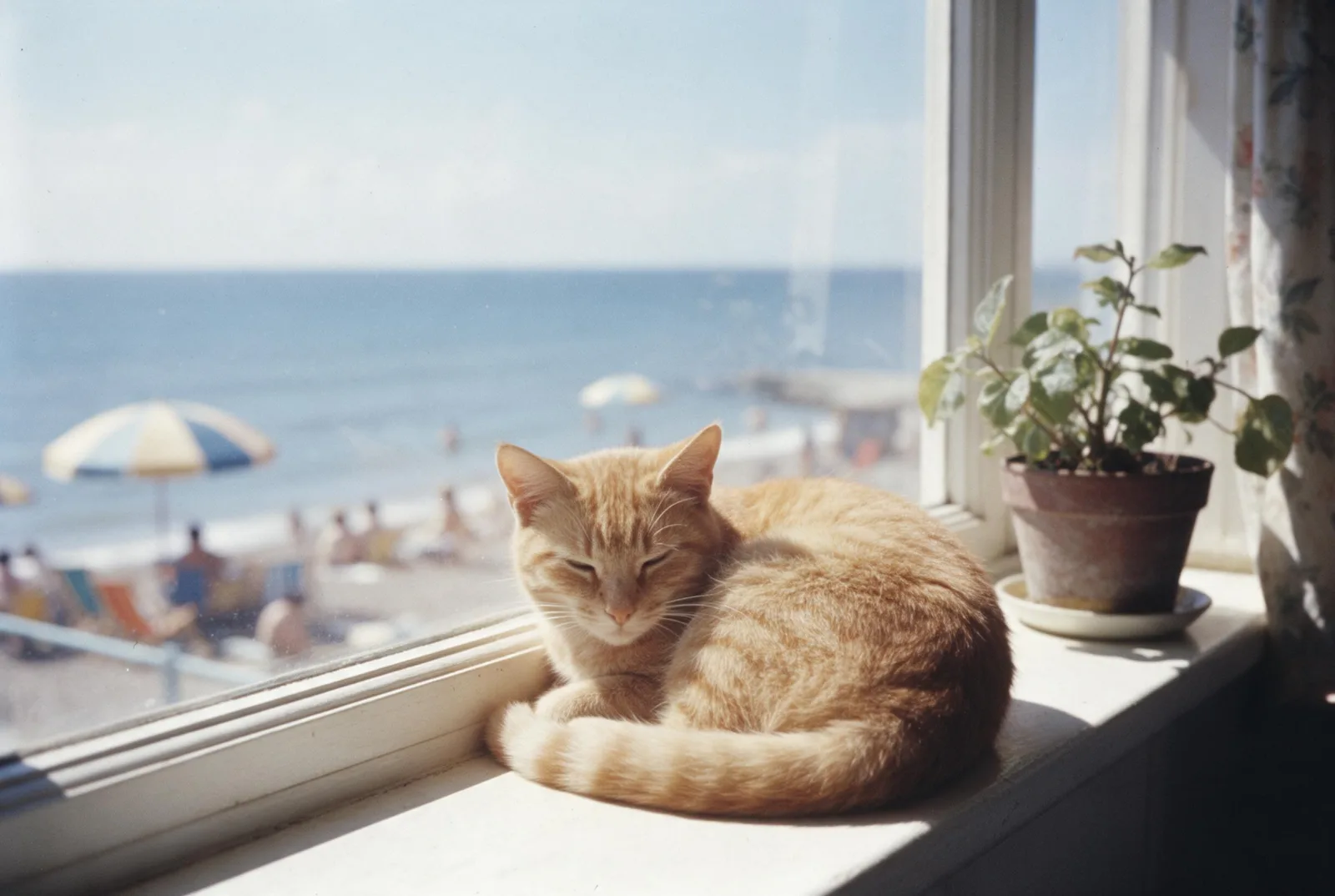 Sample image in the Riviera Film style