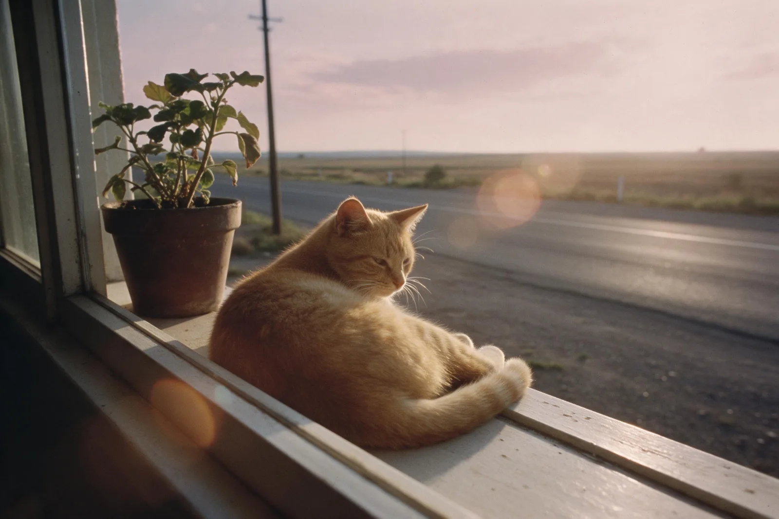 Sample image in the Sunlit Americana style